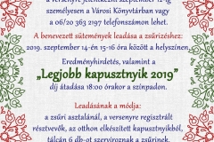 Kapusztnyik-Verseny-plakat